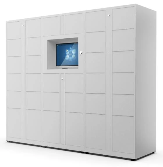 info-1-1 Parcel Locker in Apartment