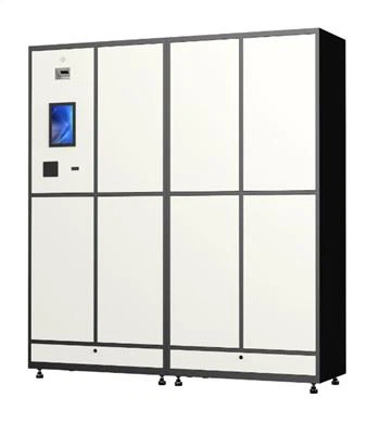 Parcel Locker For Business